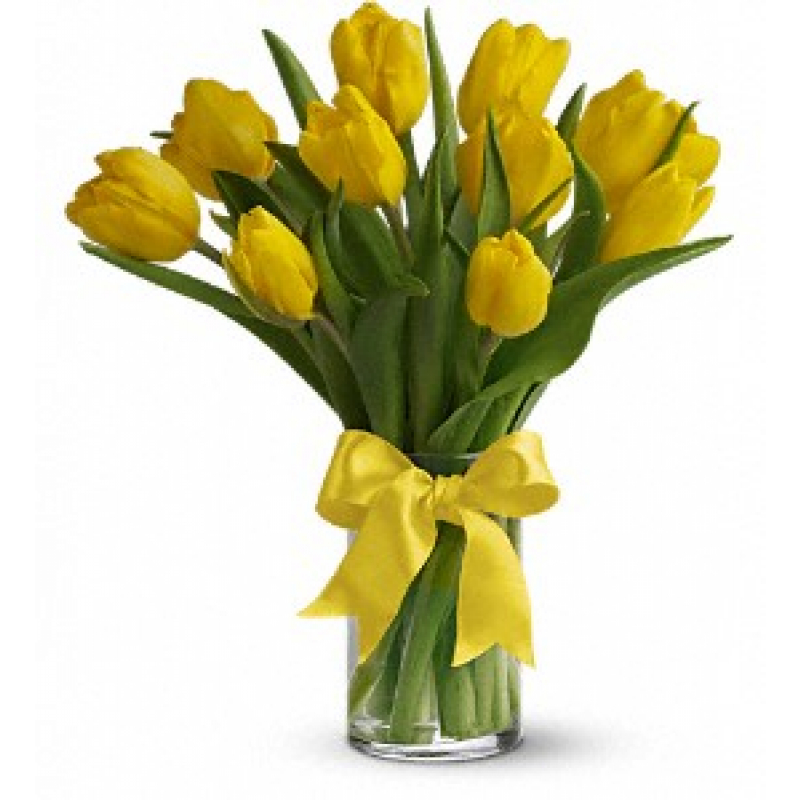 Sunny Yellow 10 Tulips